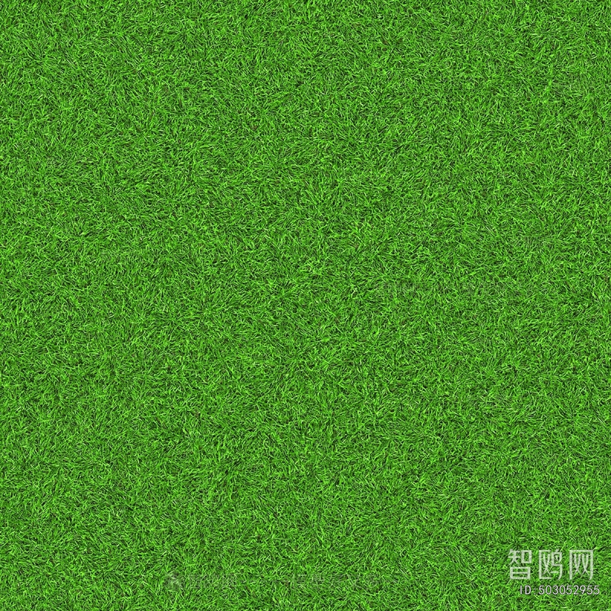 草皮地面