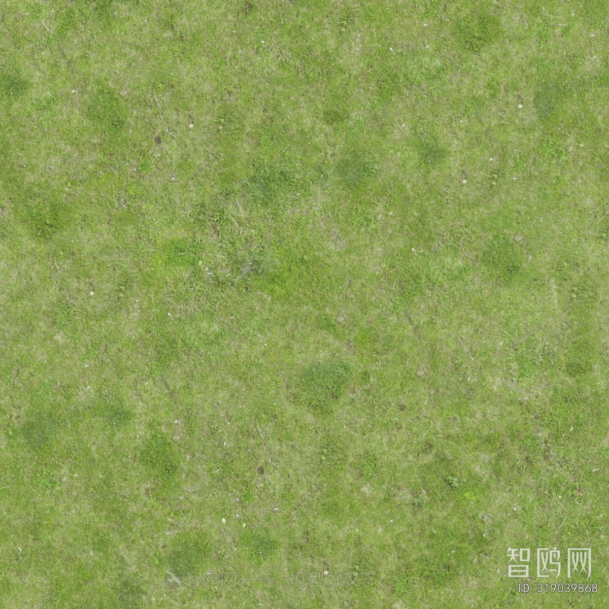现代草皮地面