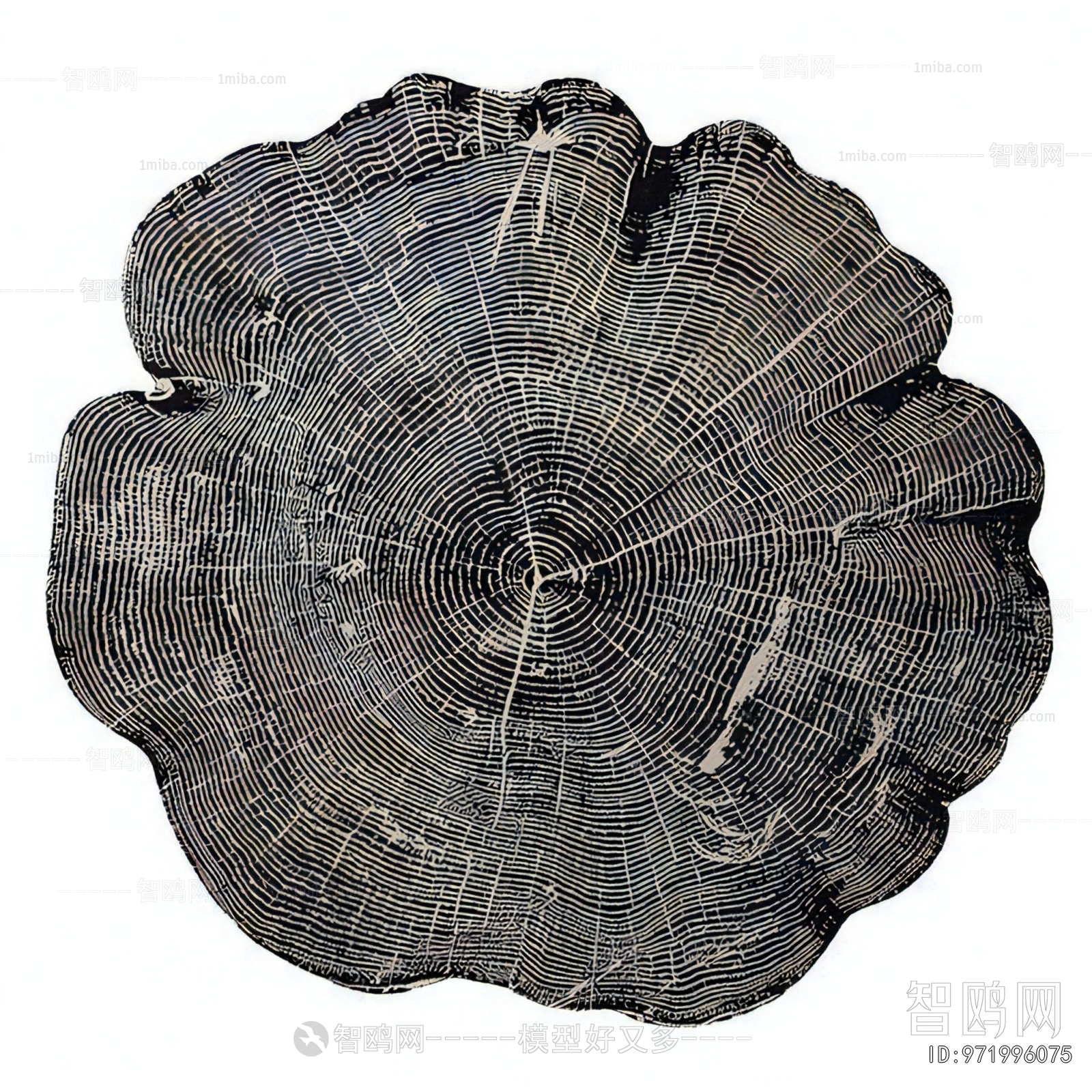 Wabi-sabi Style The Carpet