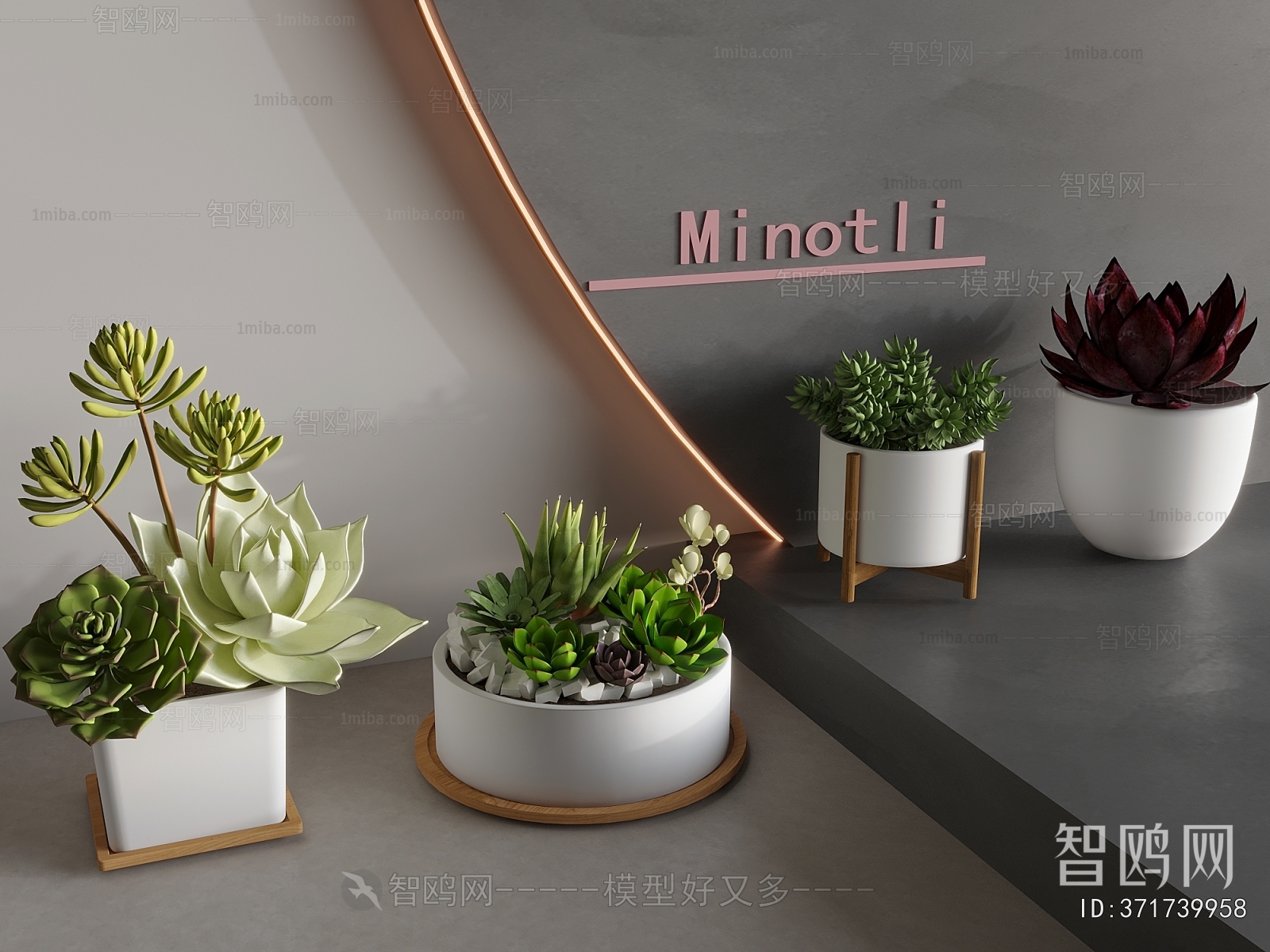 Modern Desktop Plant