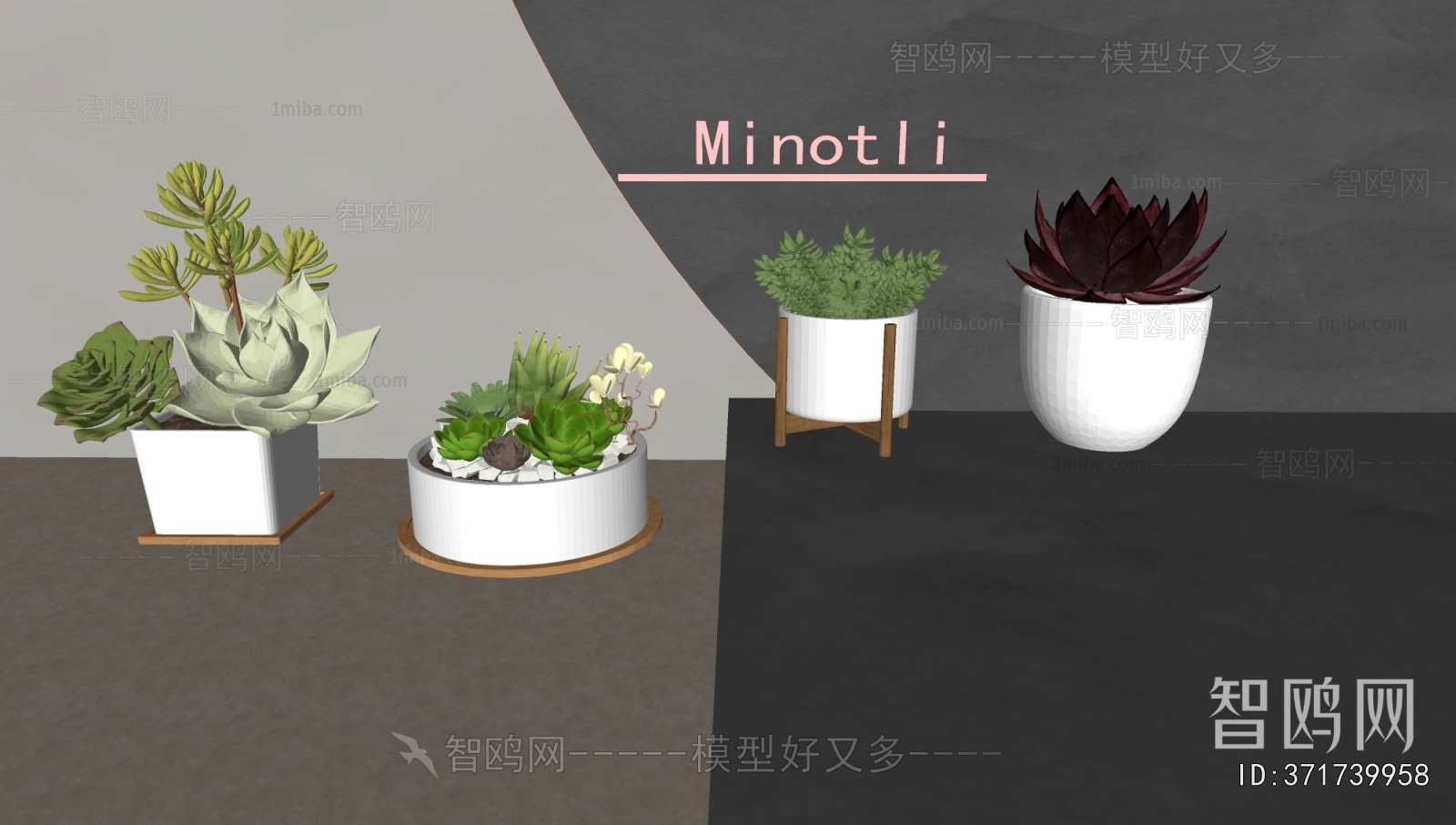 Modern Desktop Plant