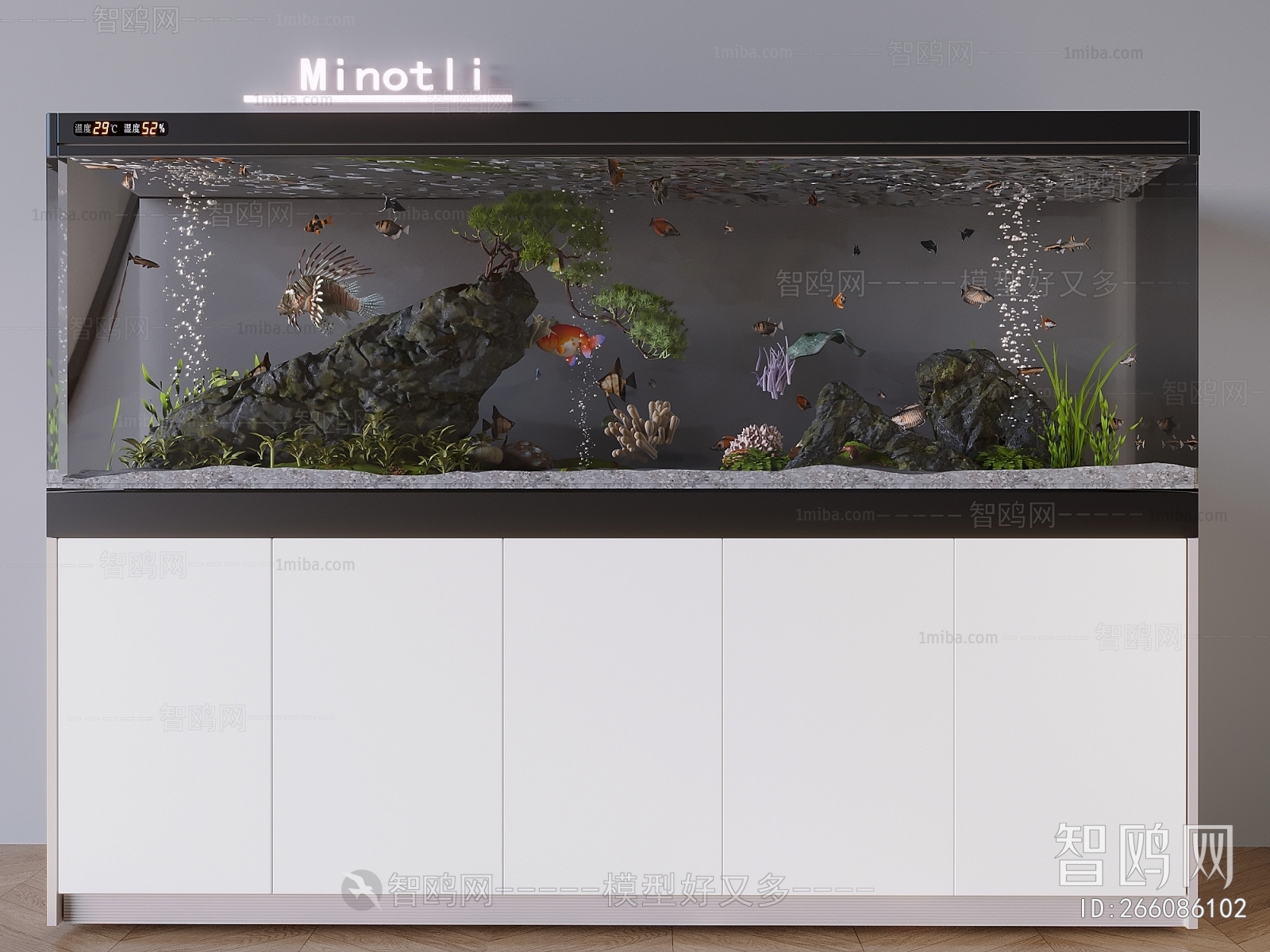 Modern Fish Tank
