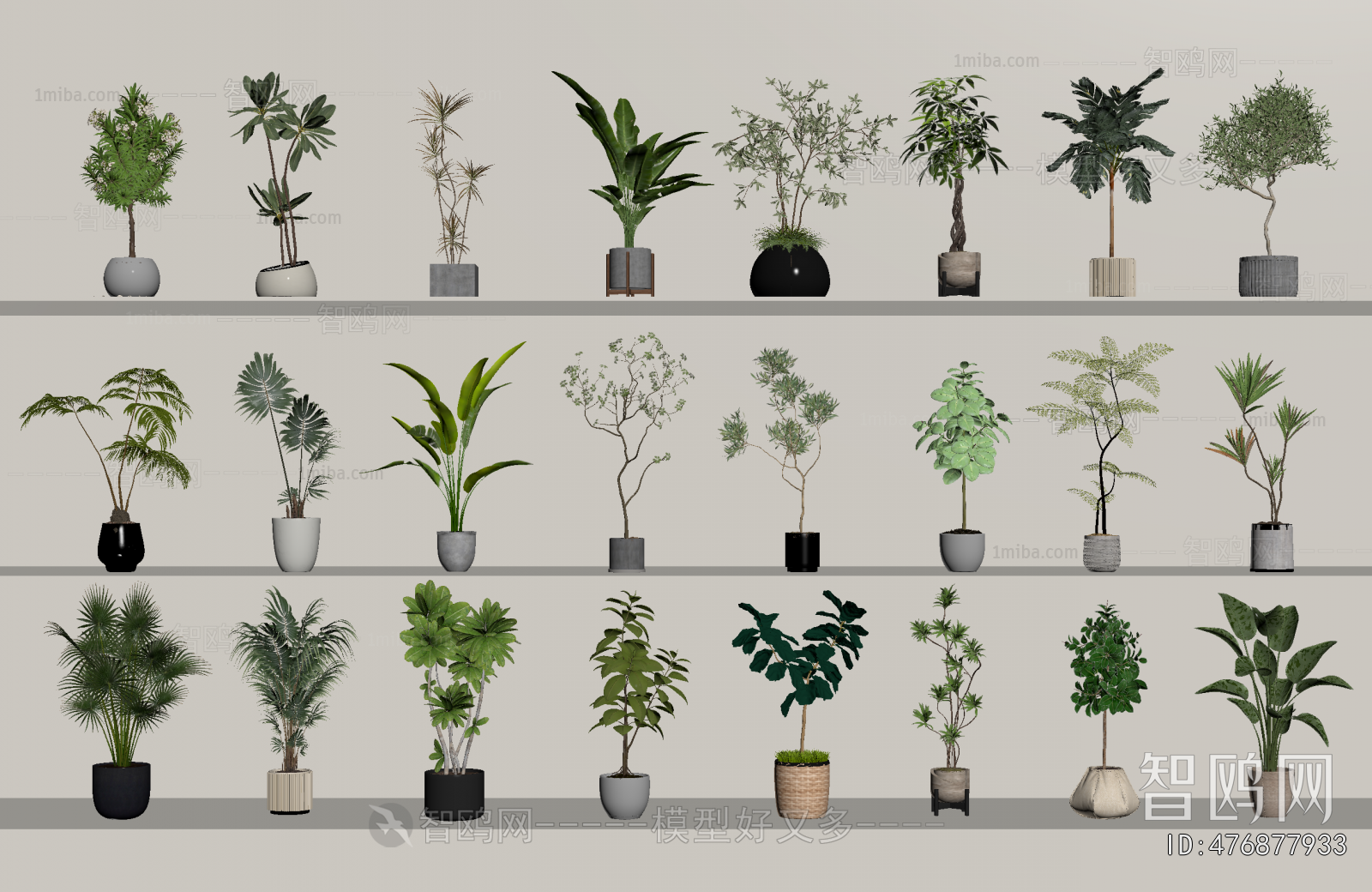 Modern Ground Green Plant Potted Plants