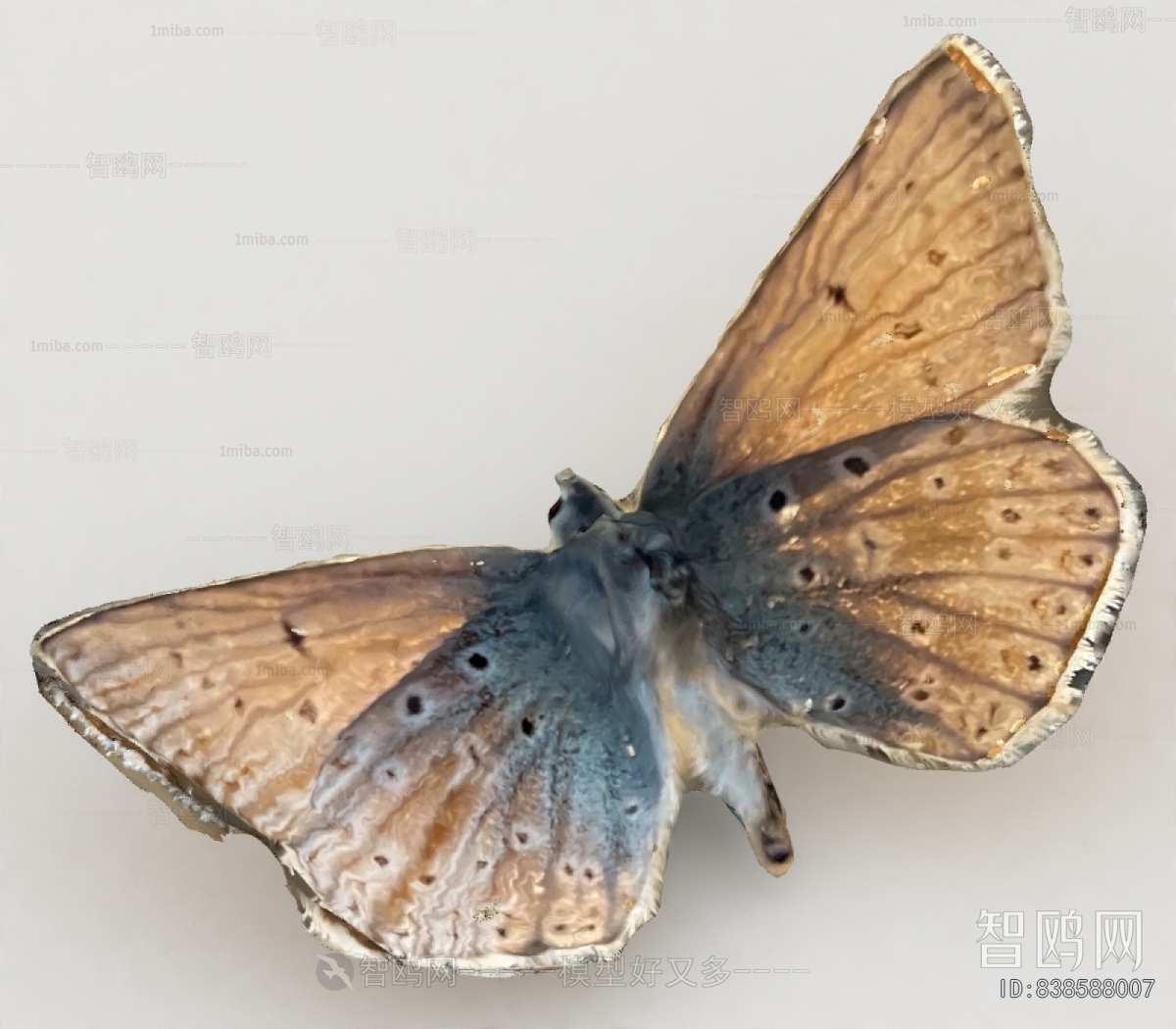 Modern Other Animals