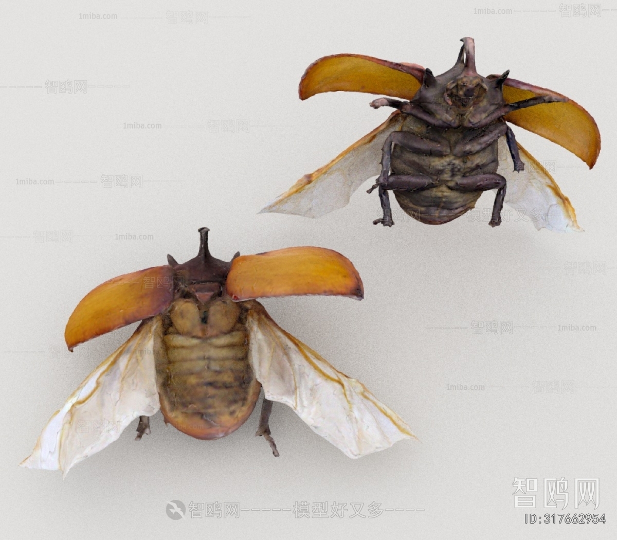 Modern Other Animals