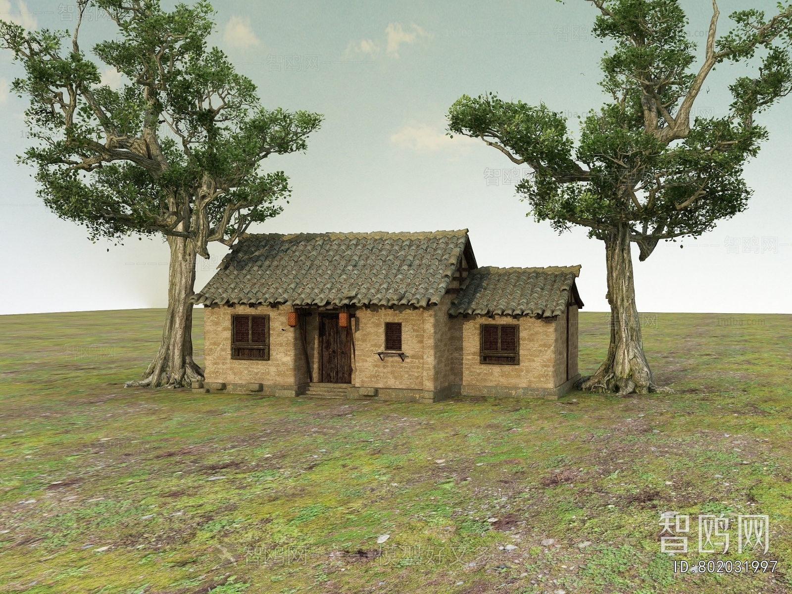 Modern Building Appearance