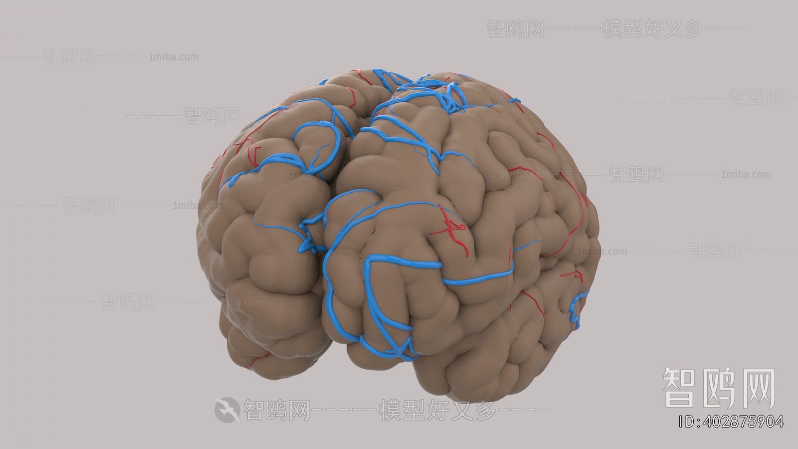 Modern Medical Equipment