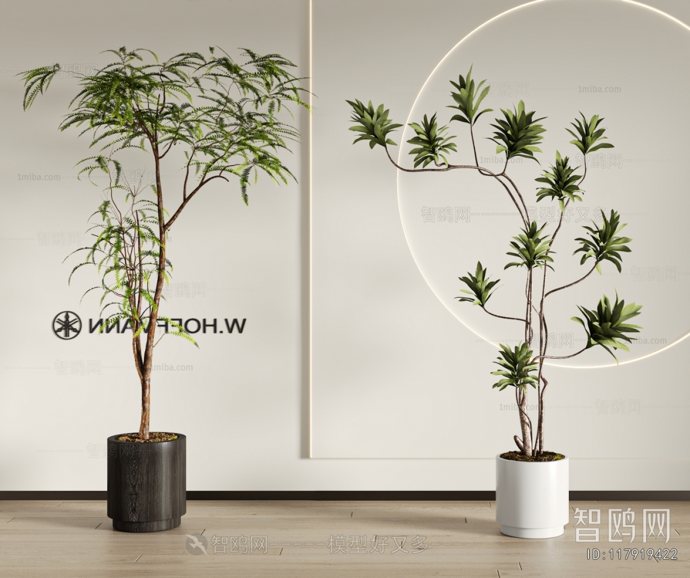 Modern Ground Green Plant Potted Plants