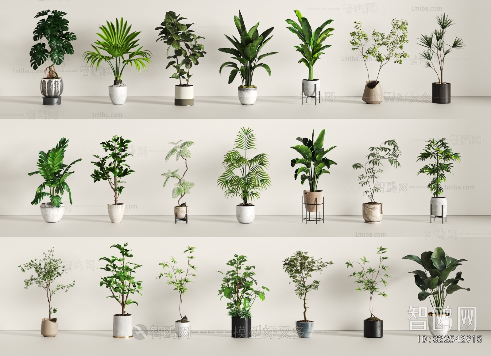 Modern Ground Green Plant Potted Plants