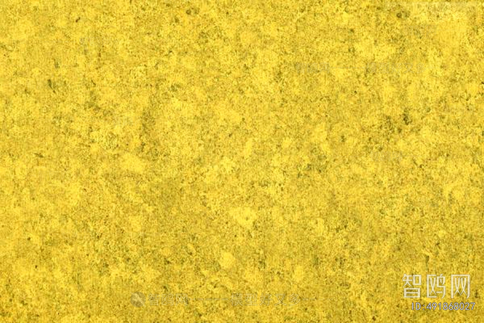 Gold Foil And Silver Foil