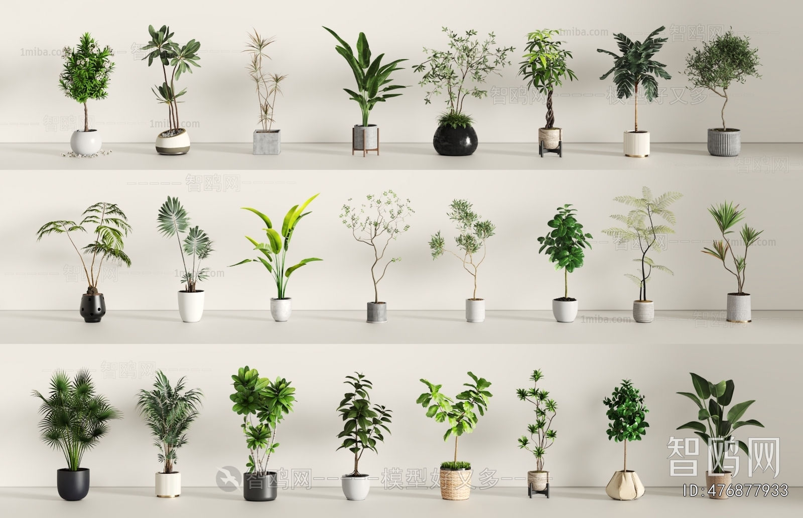 Modern Ground Green Plant Potted Plants