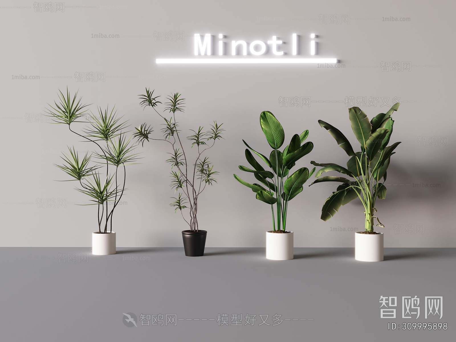 Modern Ground Green Plant Potted Plants