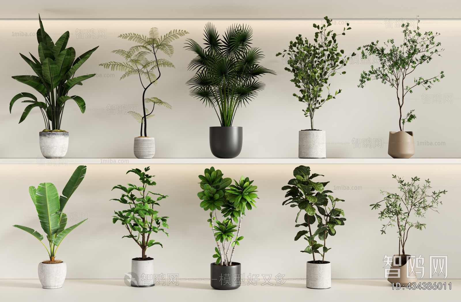 Modern Ground Green Plant Potted Plants