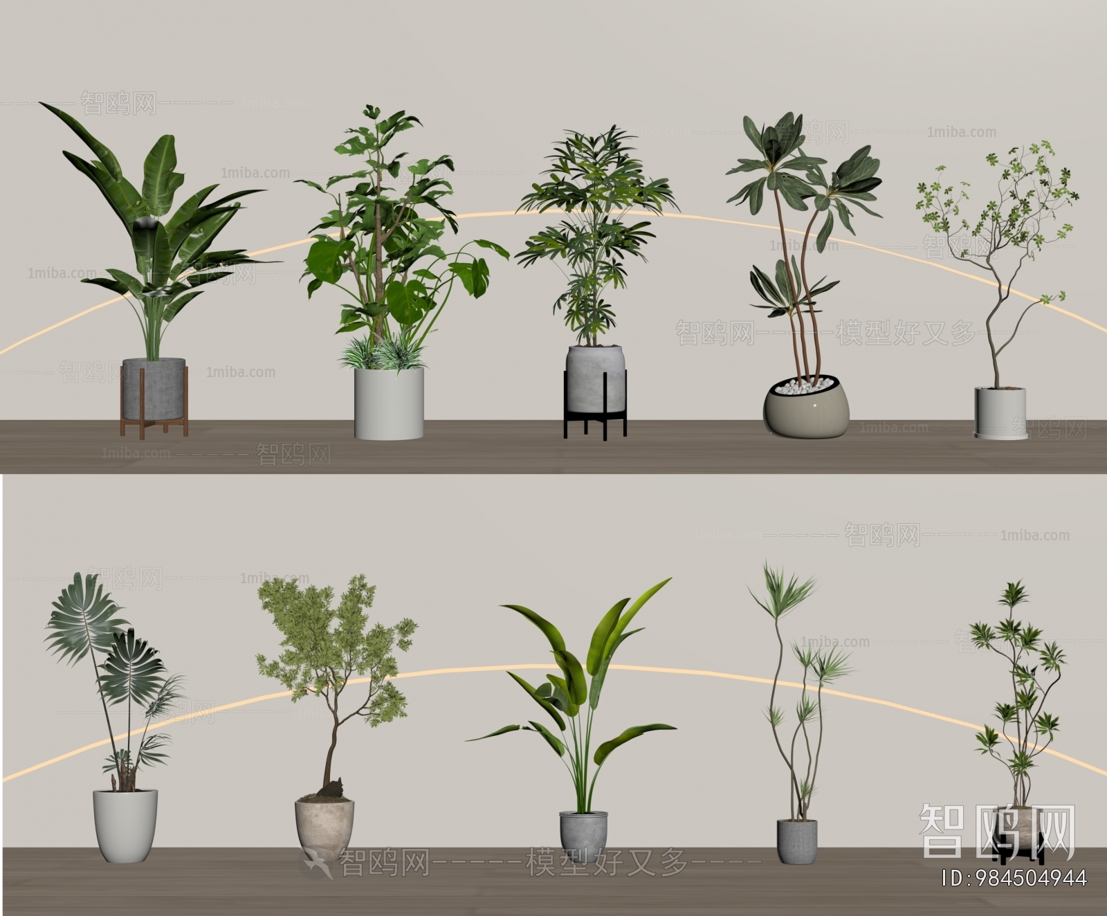 Modern Ground Green Plant Potted Plants