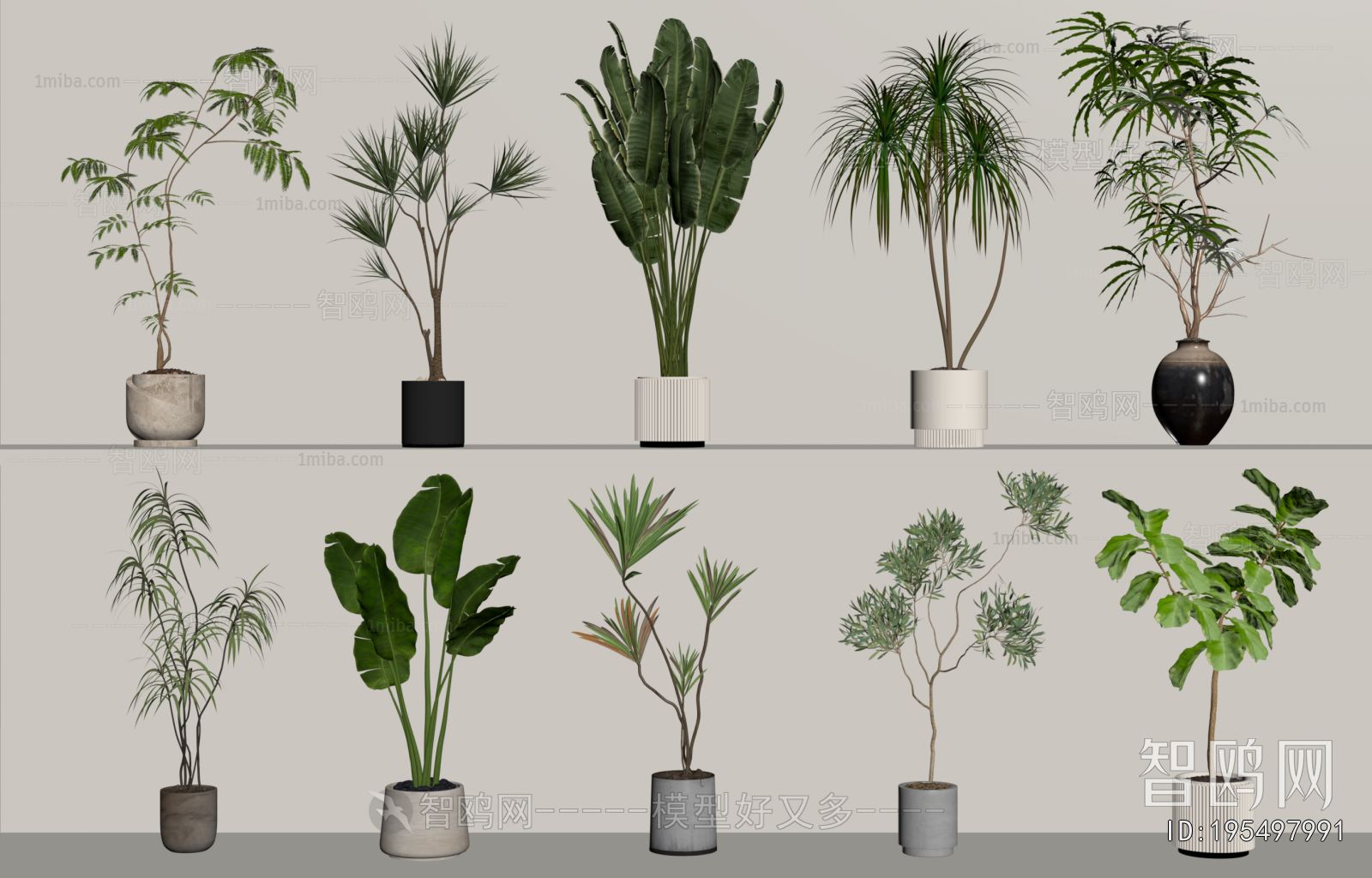 Modern Ground Green Plant Potted Plants