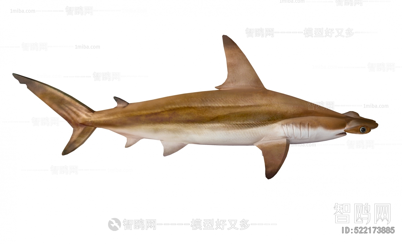 Modern Aquatic Animals