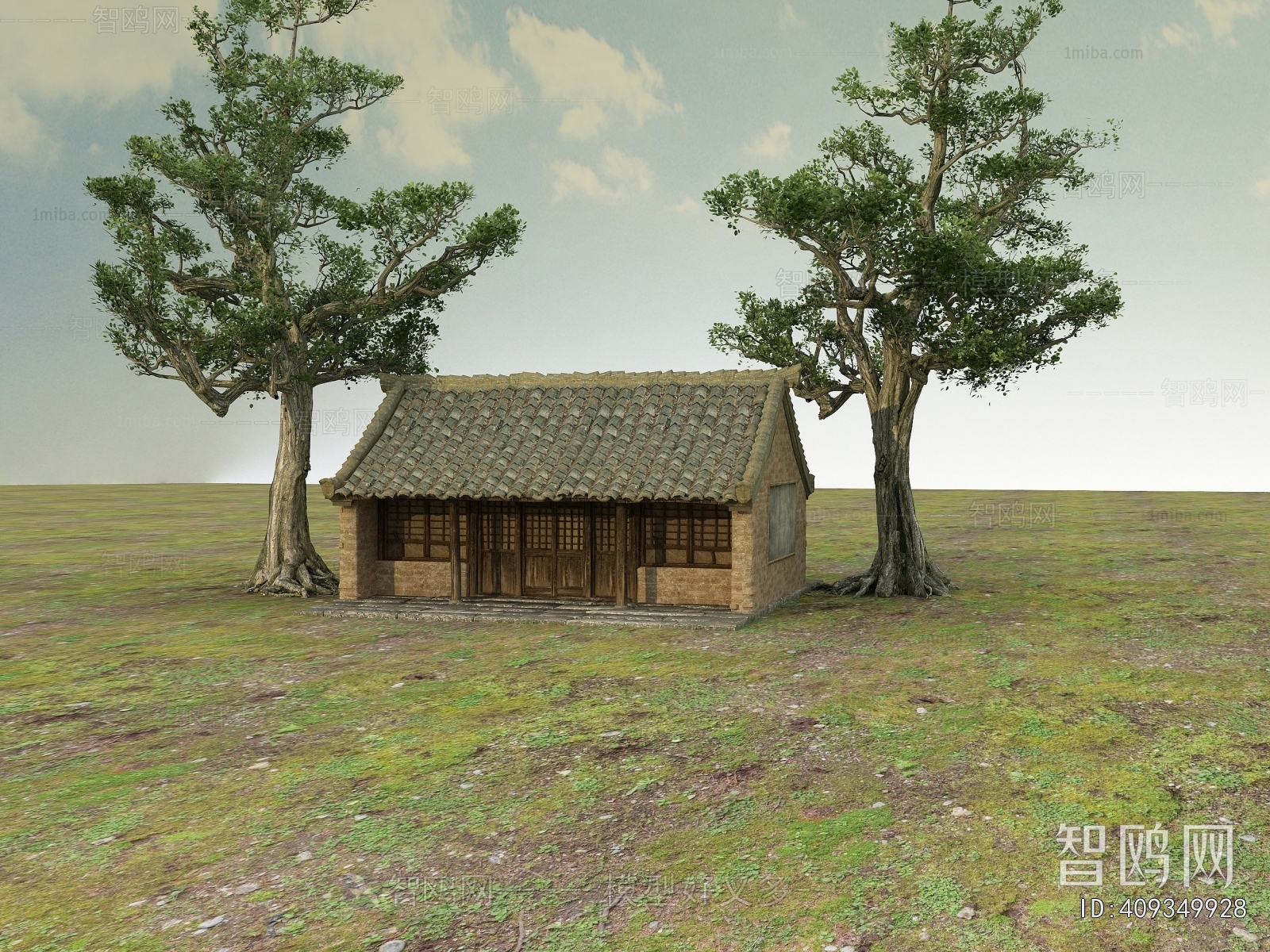 Modern Building Appearance