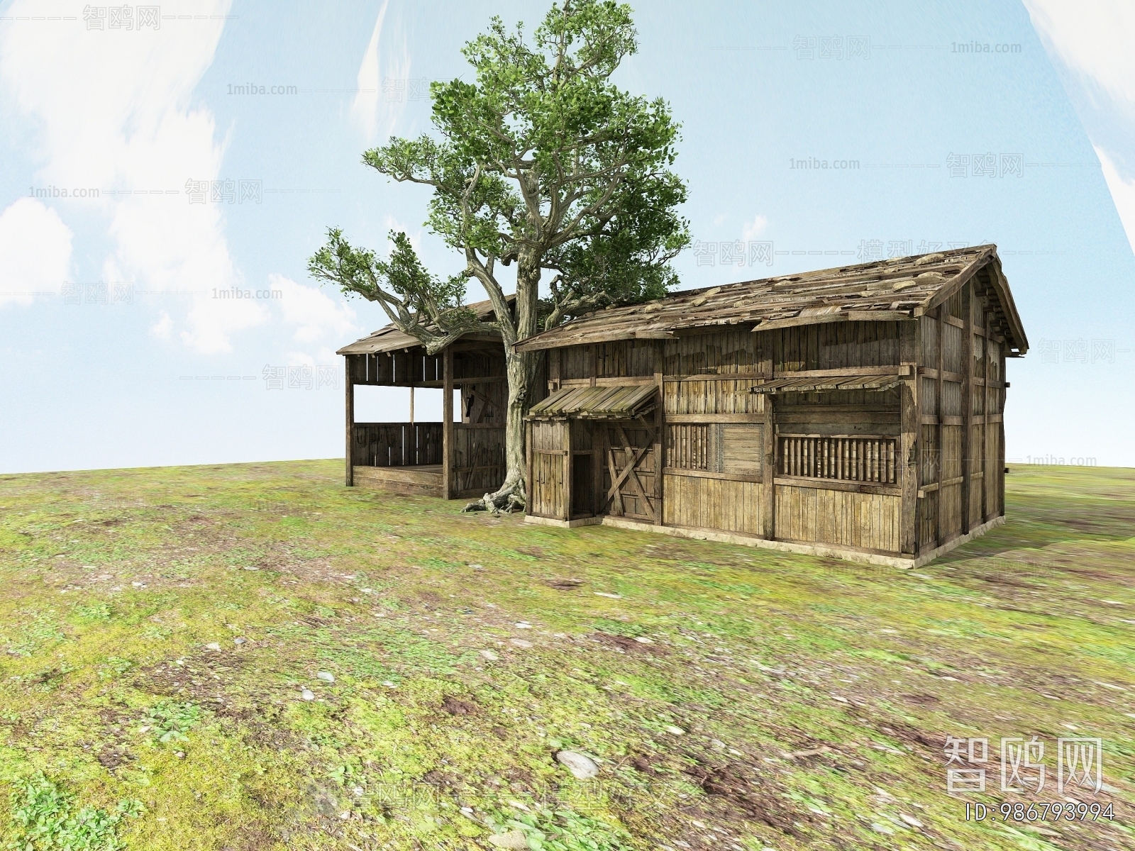 Modern Building Appearance