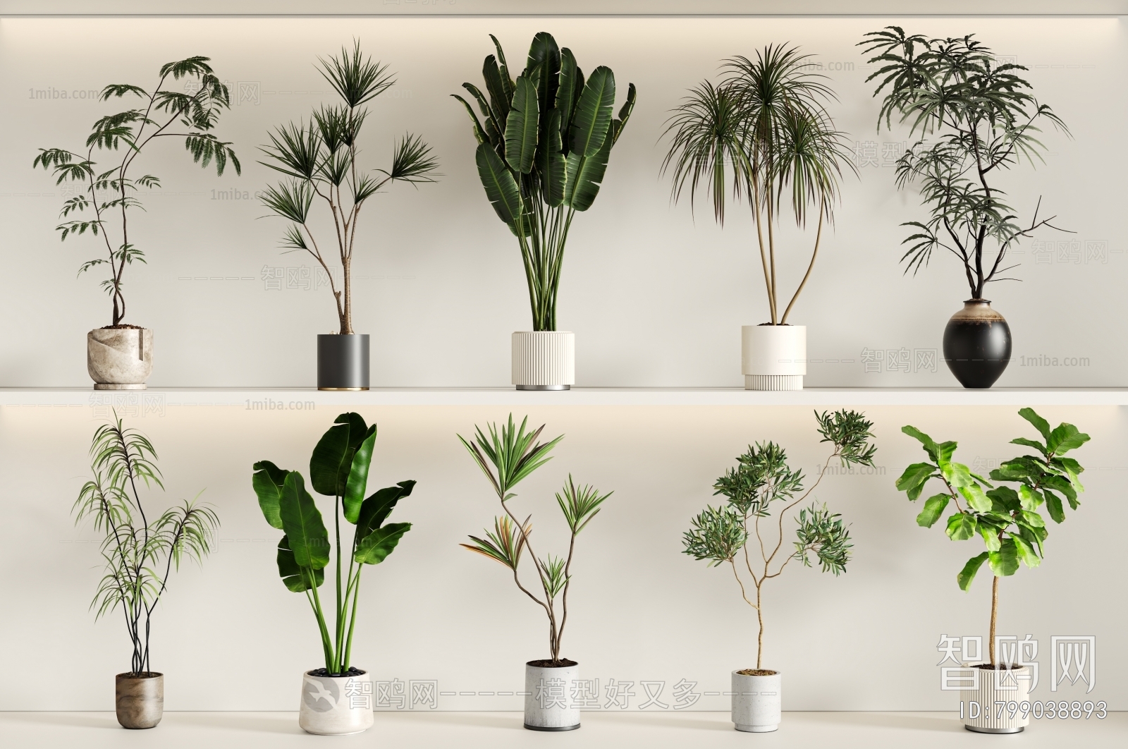 Modern Ground Green Plant Potted Plants