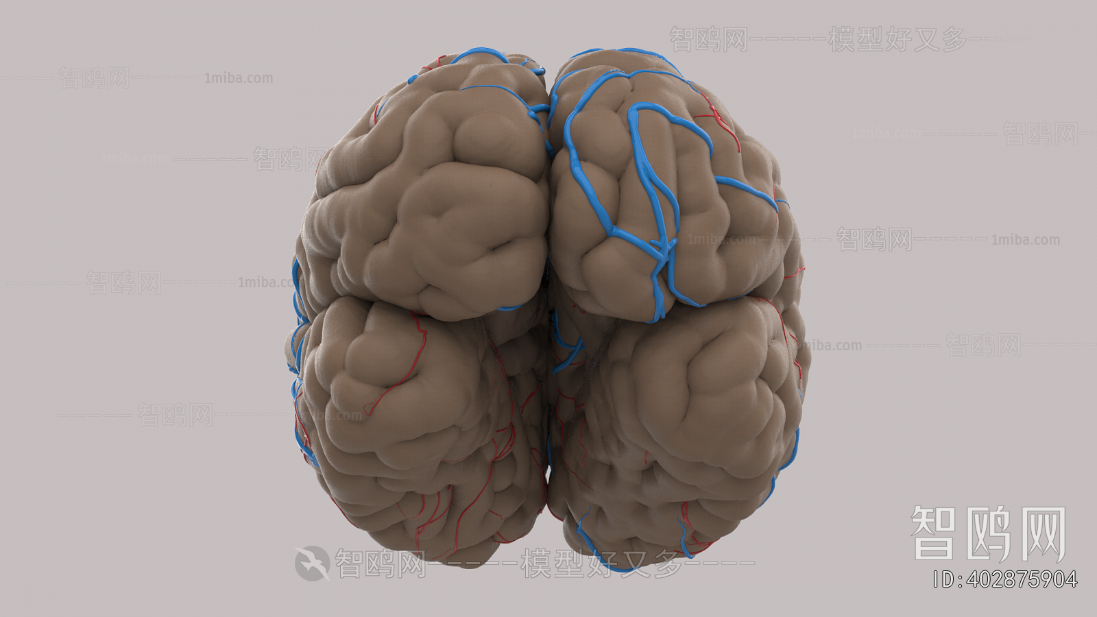 Modern Medical Equipment