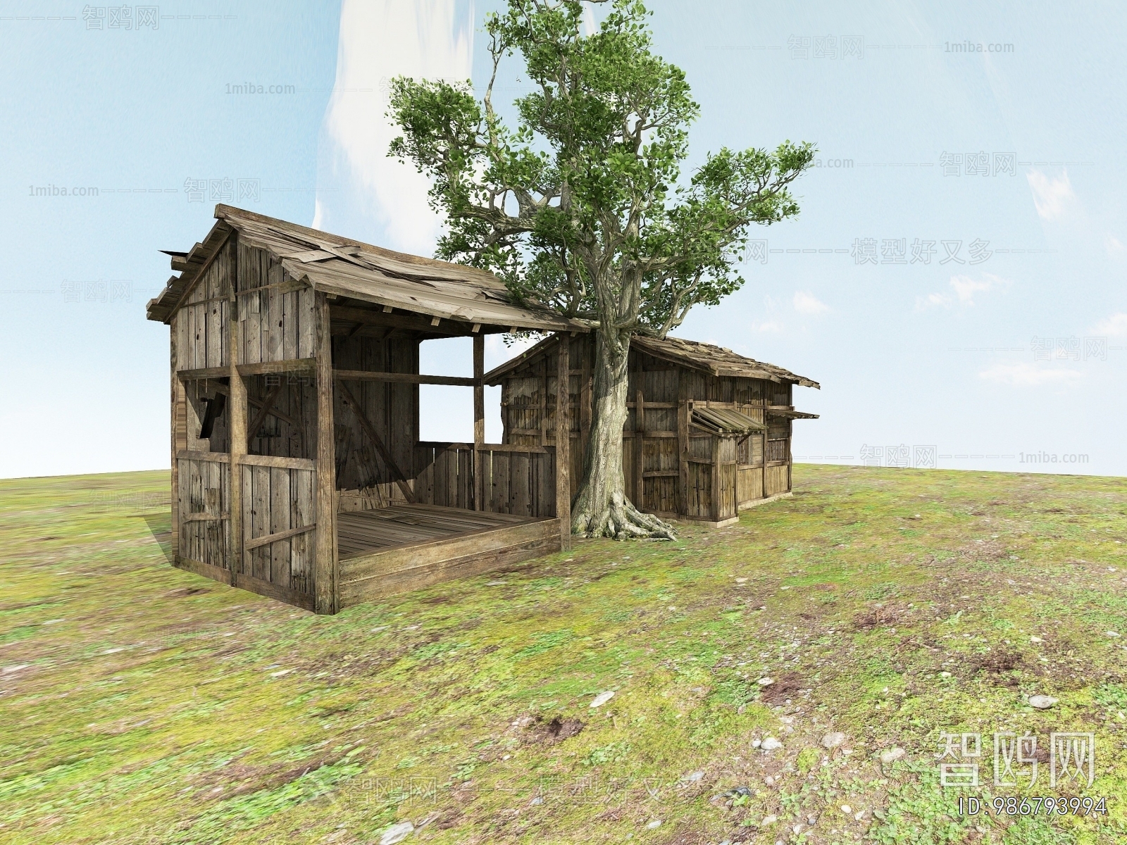 Modern Building Appearance