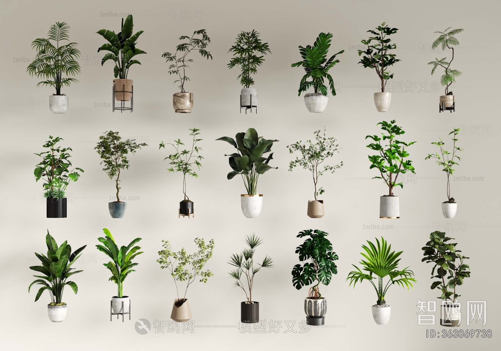 Modern Ground Green Plant Potted Plants