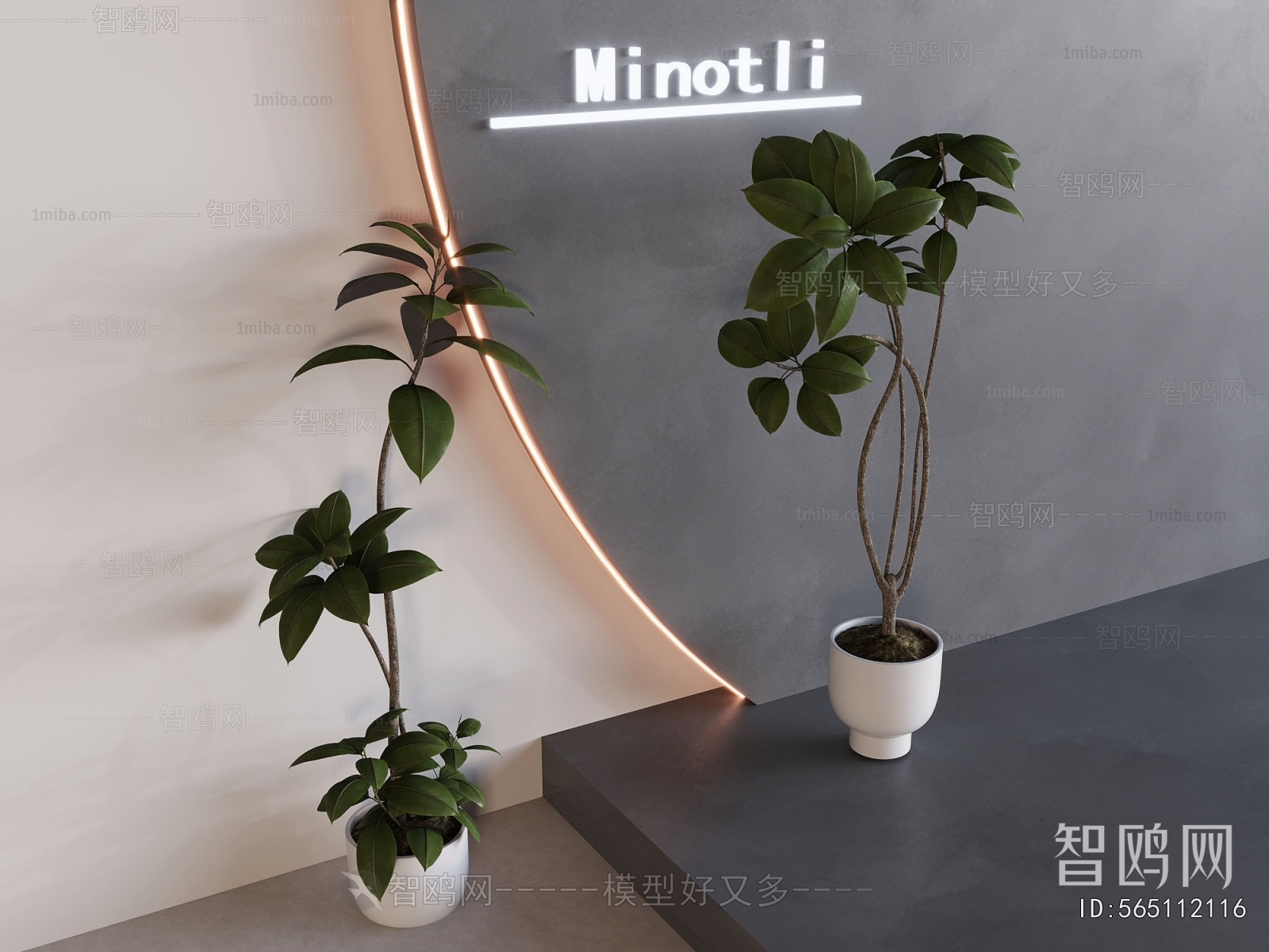Modern Ground Green Plant Potted Plants