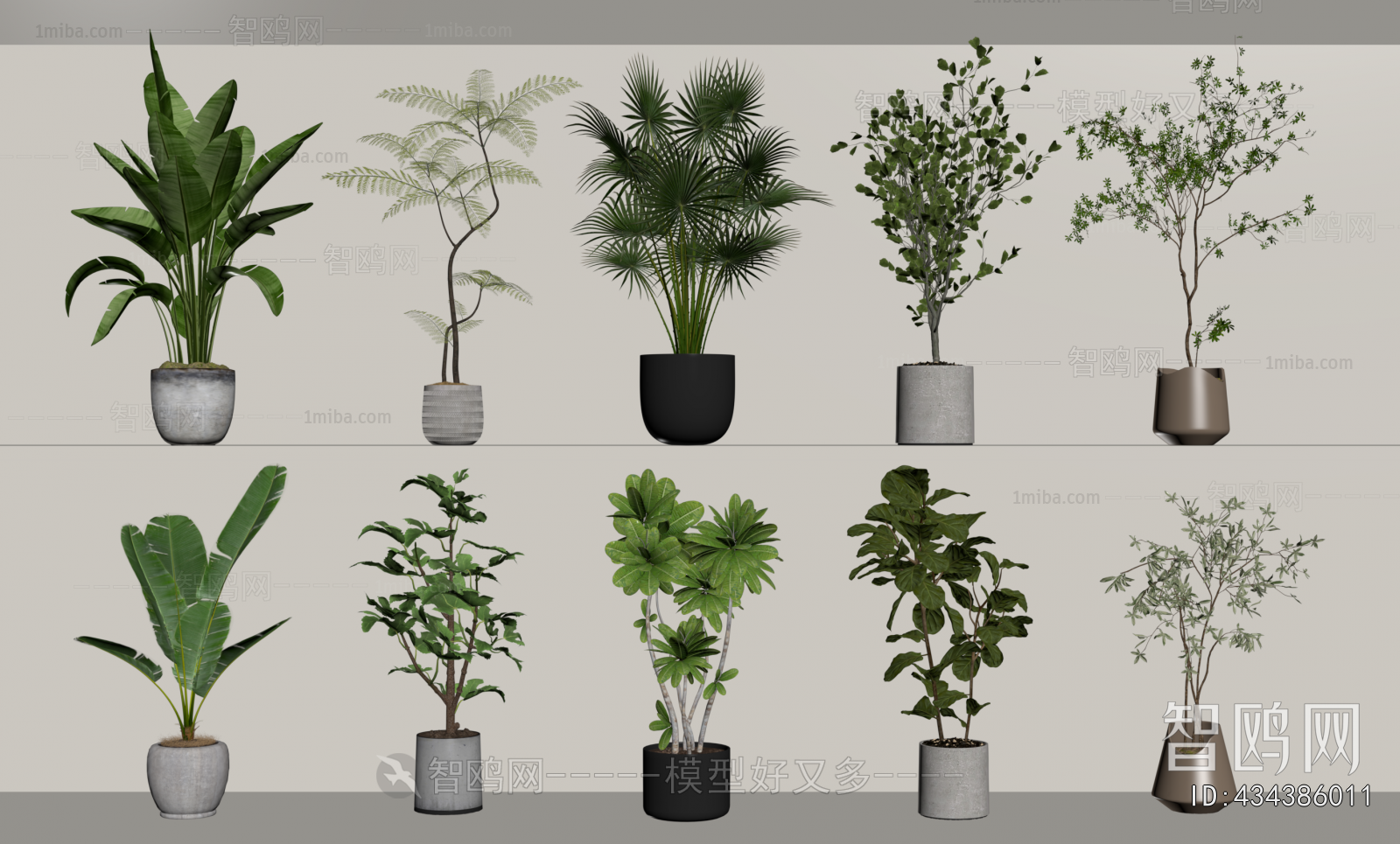 Modern Ground Green Plant Potted Plants