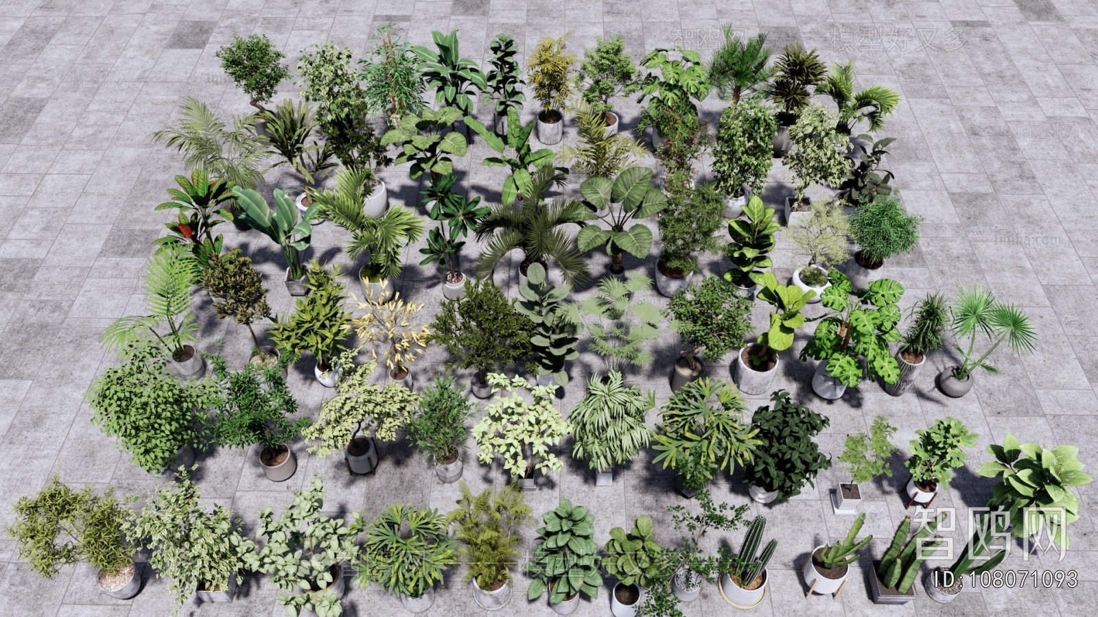 Modern Ground Green Plant Potted Plants