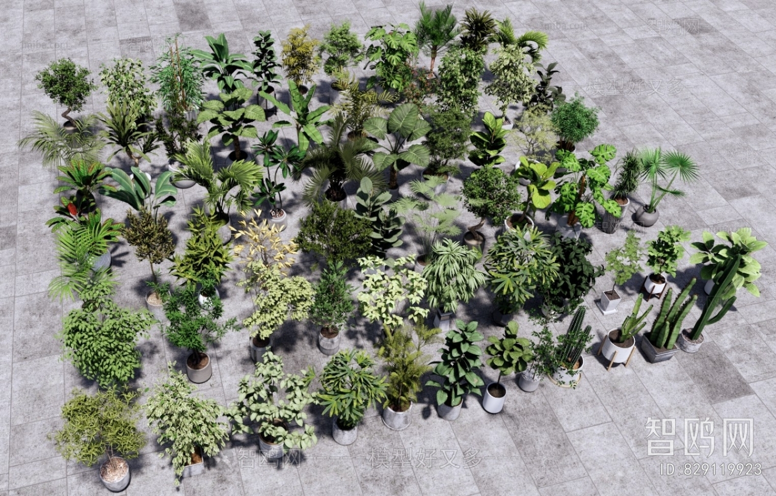 Modern Ground Green Plant Potted Plants