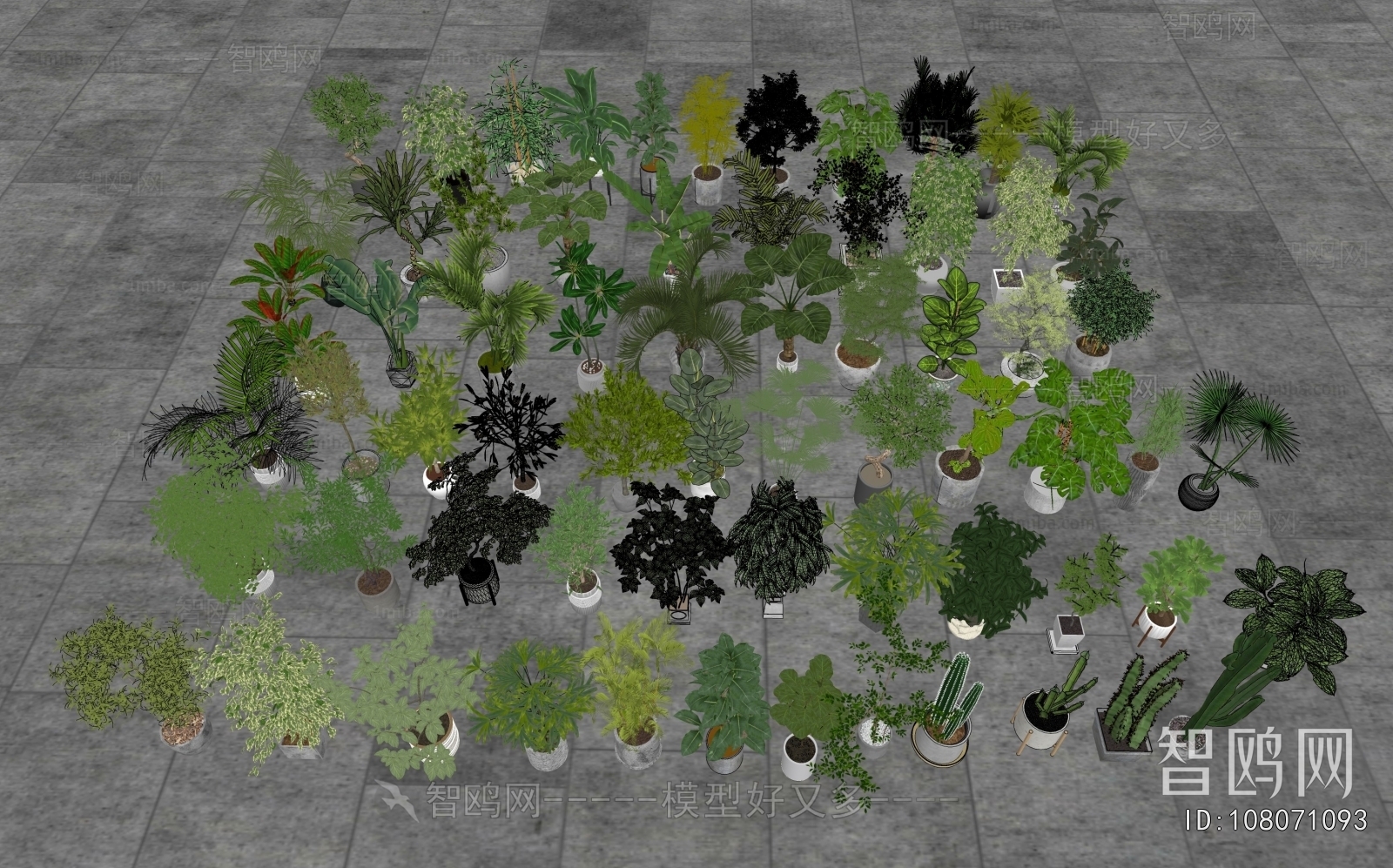 Modern Ground Green Plant Potted Plants