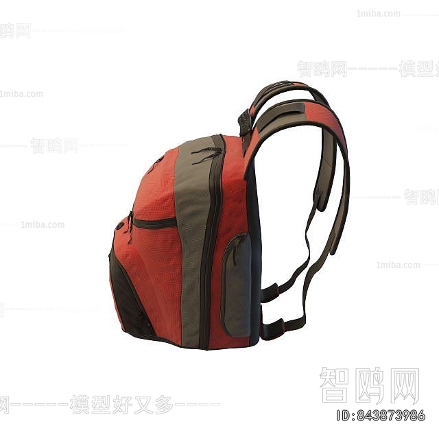 Modern Backpack And Backpack