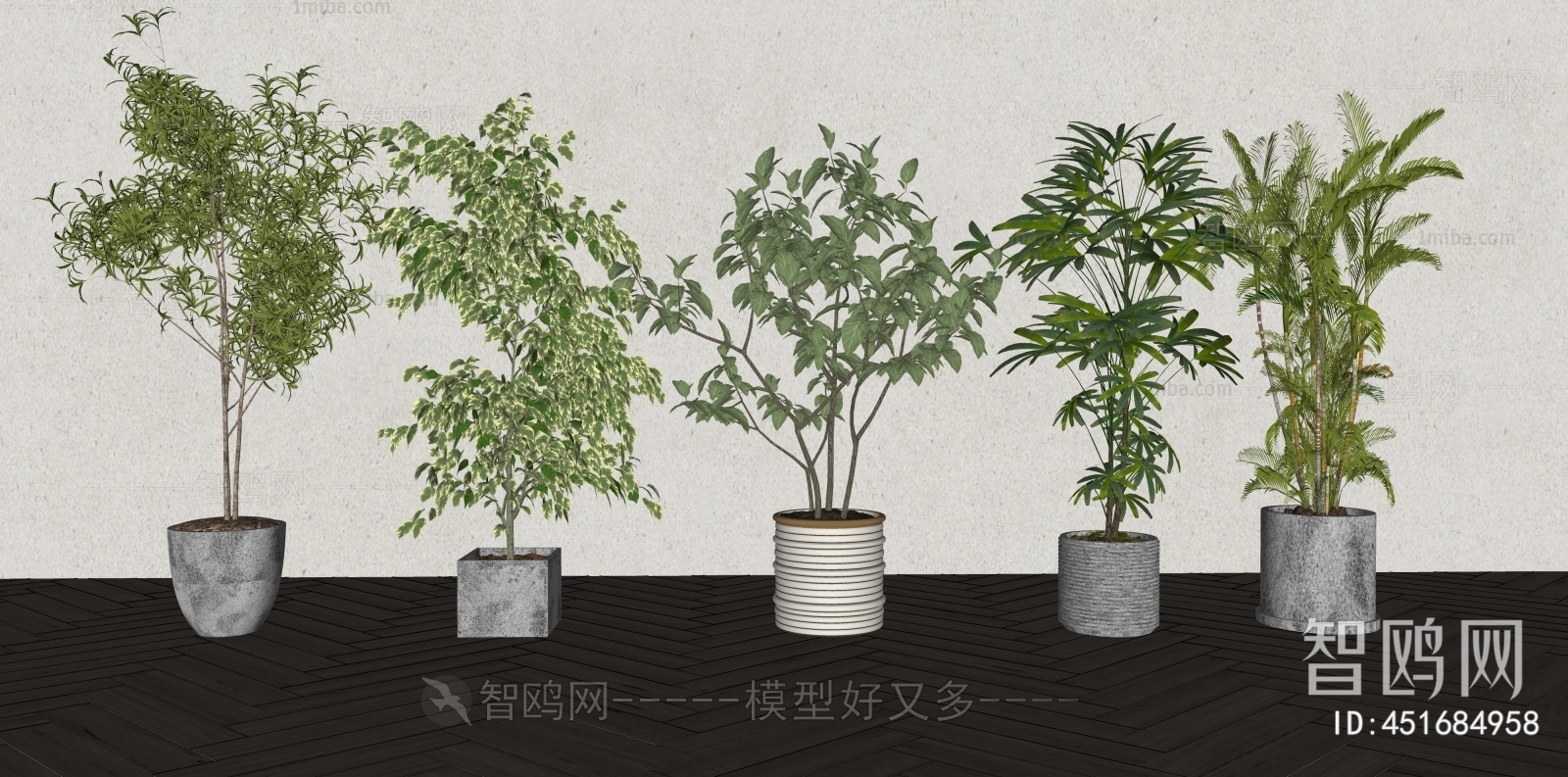 Modern Ground Green Plant Potted Plants