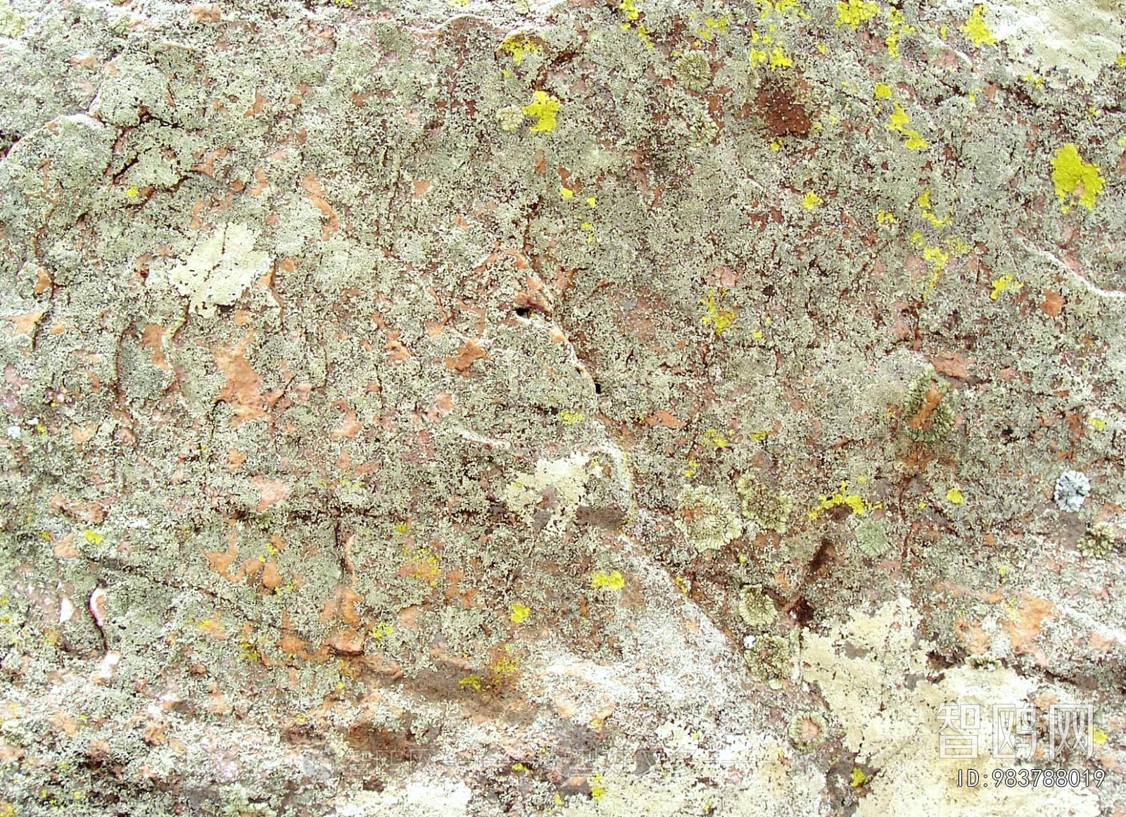 Other Stone Textures