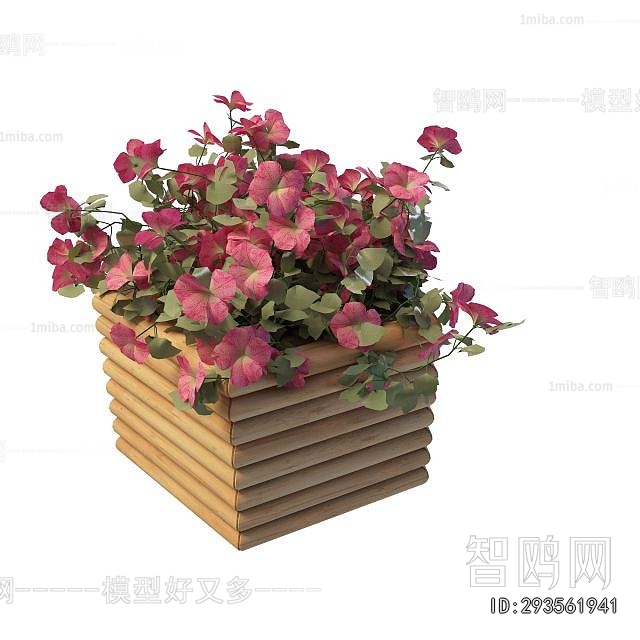 Modern Flower Bed, Flower Bowl, Flower Box