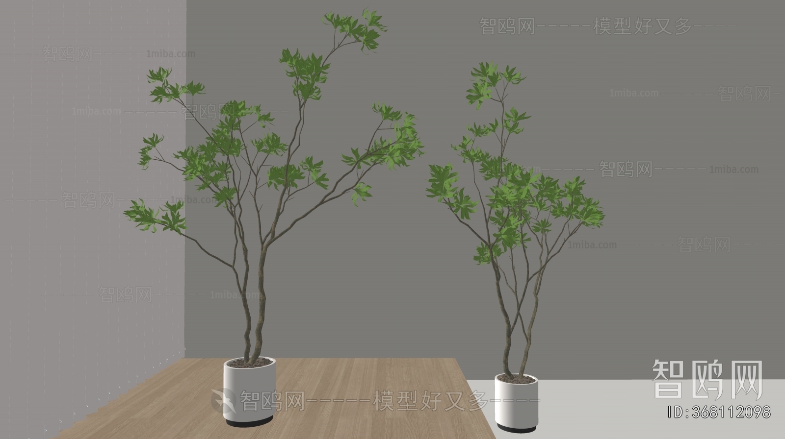 Modern Ground Green Plant Potted Plants