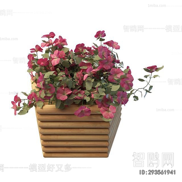 Modern Flower Bed, Flower Bowl, Flower Box