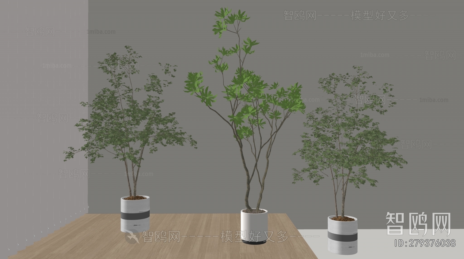Modern Ground Green Plant Potted Plants