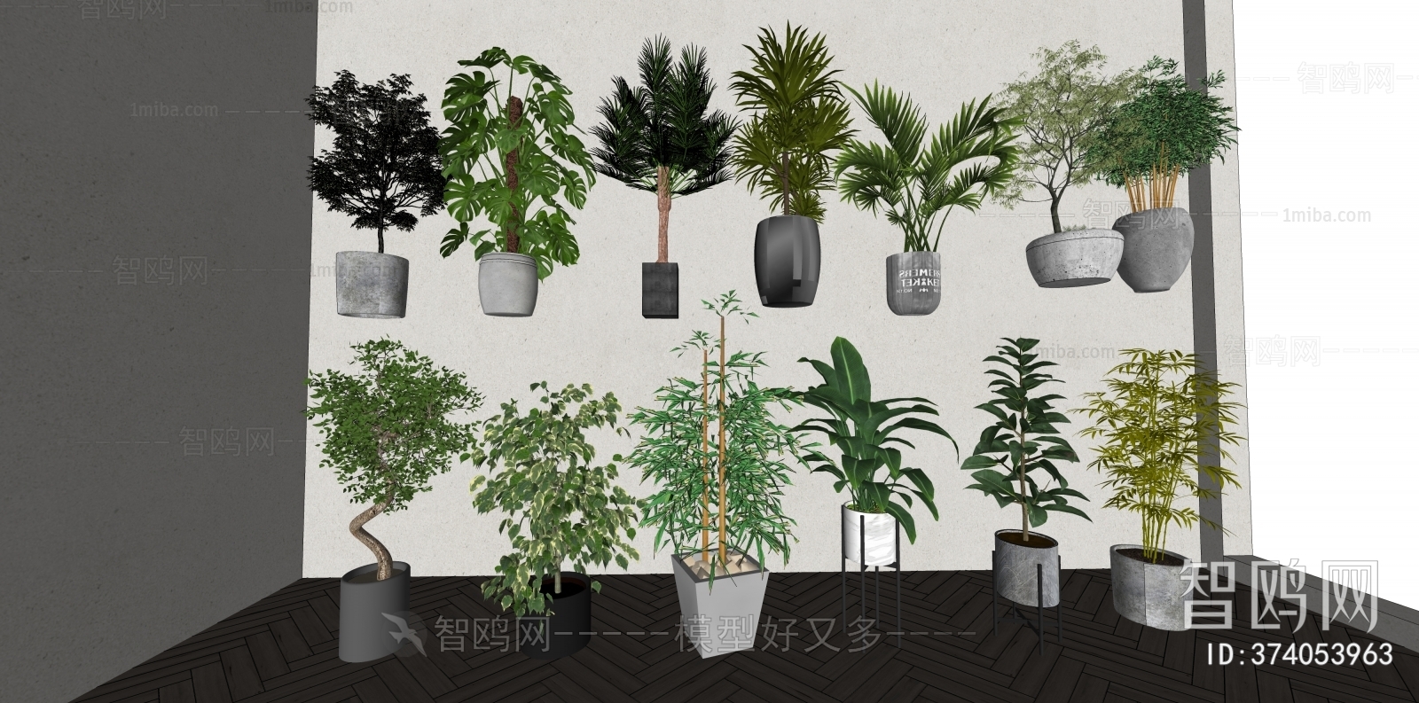 Modern Ground Green Plant Potted Plants