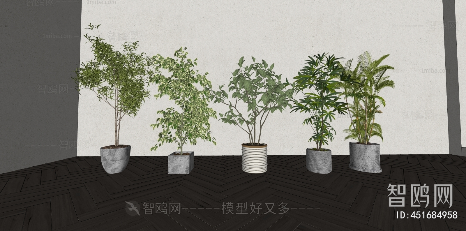 Modern Ground Green Plant Potted Plants