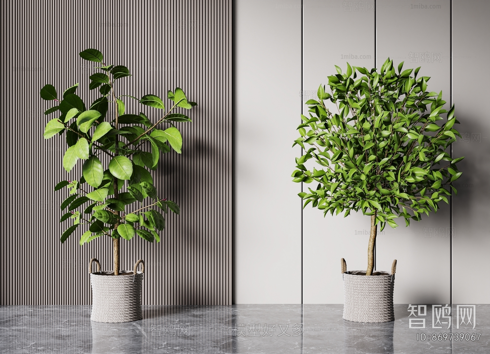 Modern Ground Green Plant Potted Plants