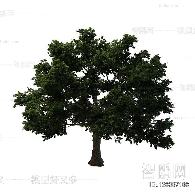 Modern Tree