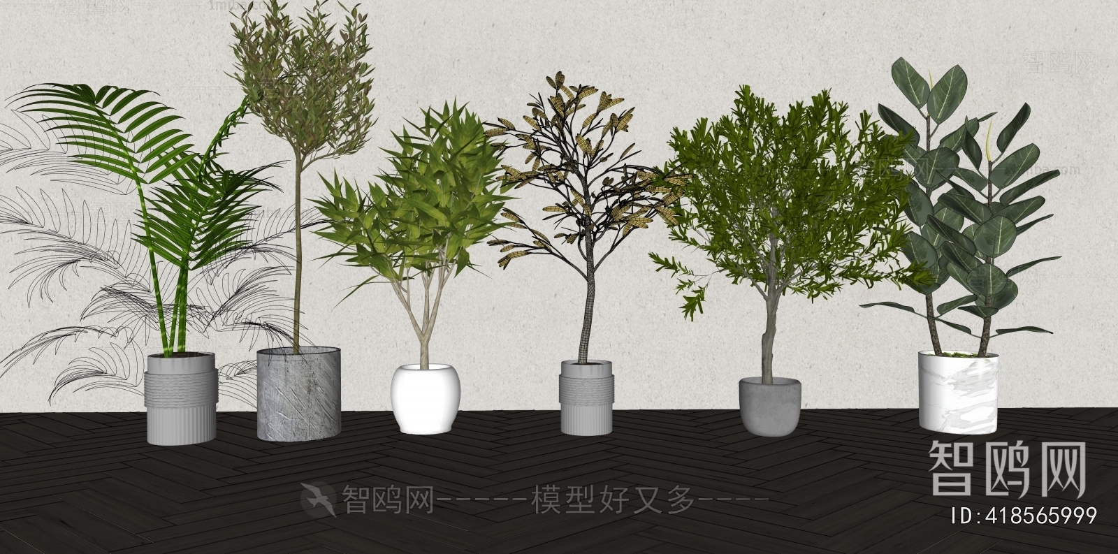 Modern Ground Green Plant Potted Plants
