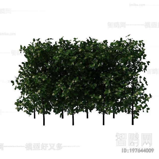 Modern Shrubbery