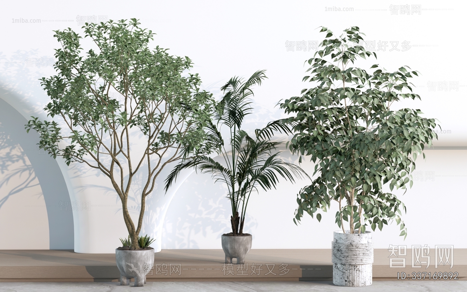 Modern Ground Green Plant Potted Plants