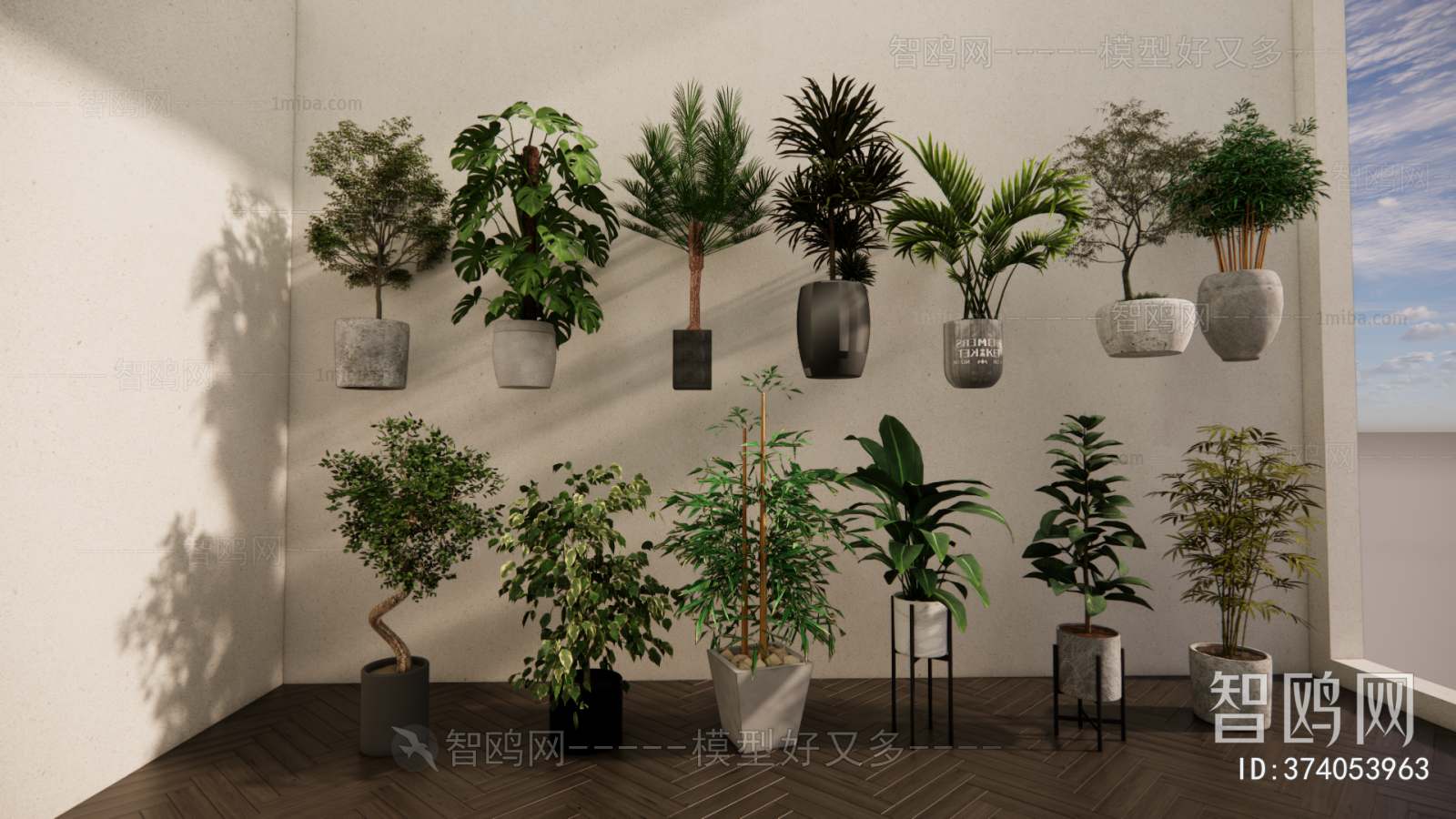 Modern Ground Green Plant Potted Plants