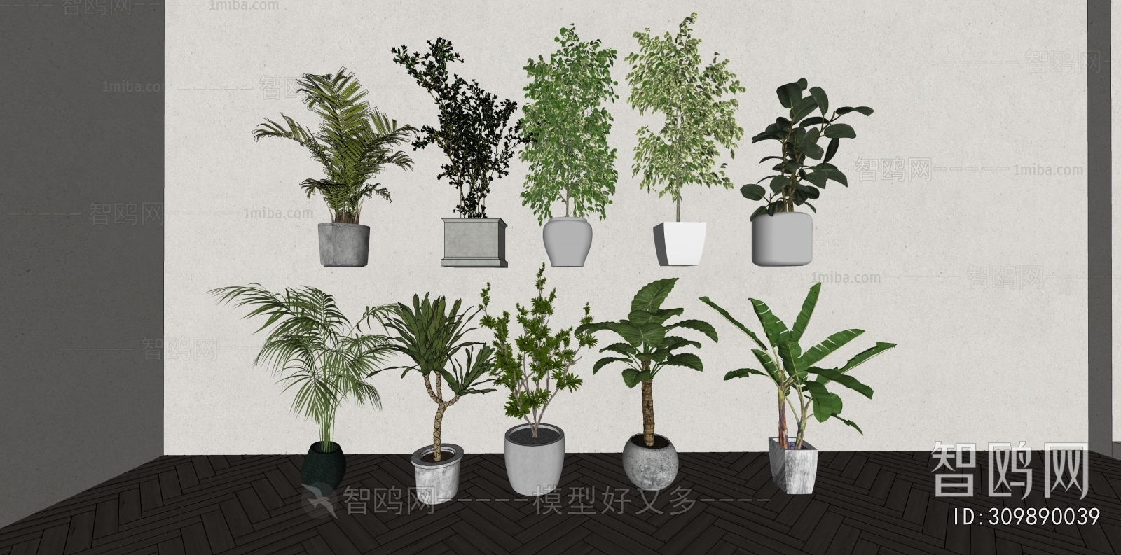 Modern Ground Green Plant Potted Plants