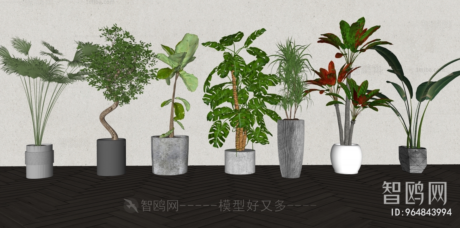 Modern Ground Green Plant Potted Plants