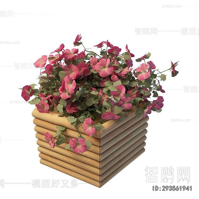 Modern Flower Bed, Flower Bowl, Flower Box