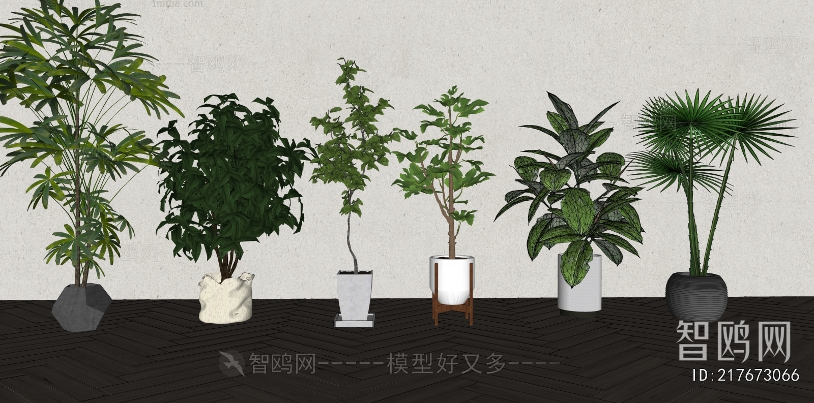 Modern Ground Green Plant Potted Plants